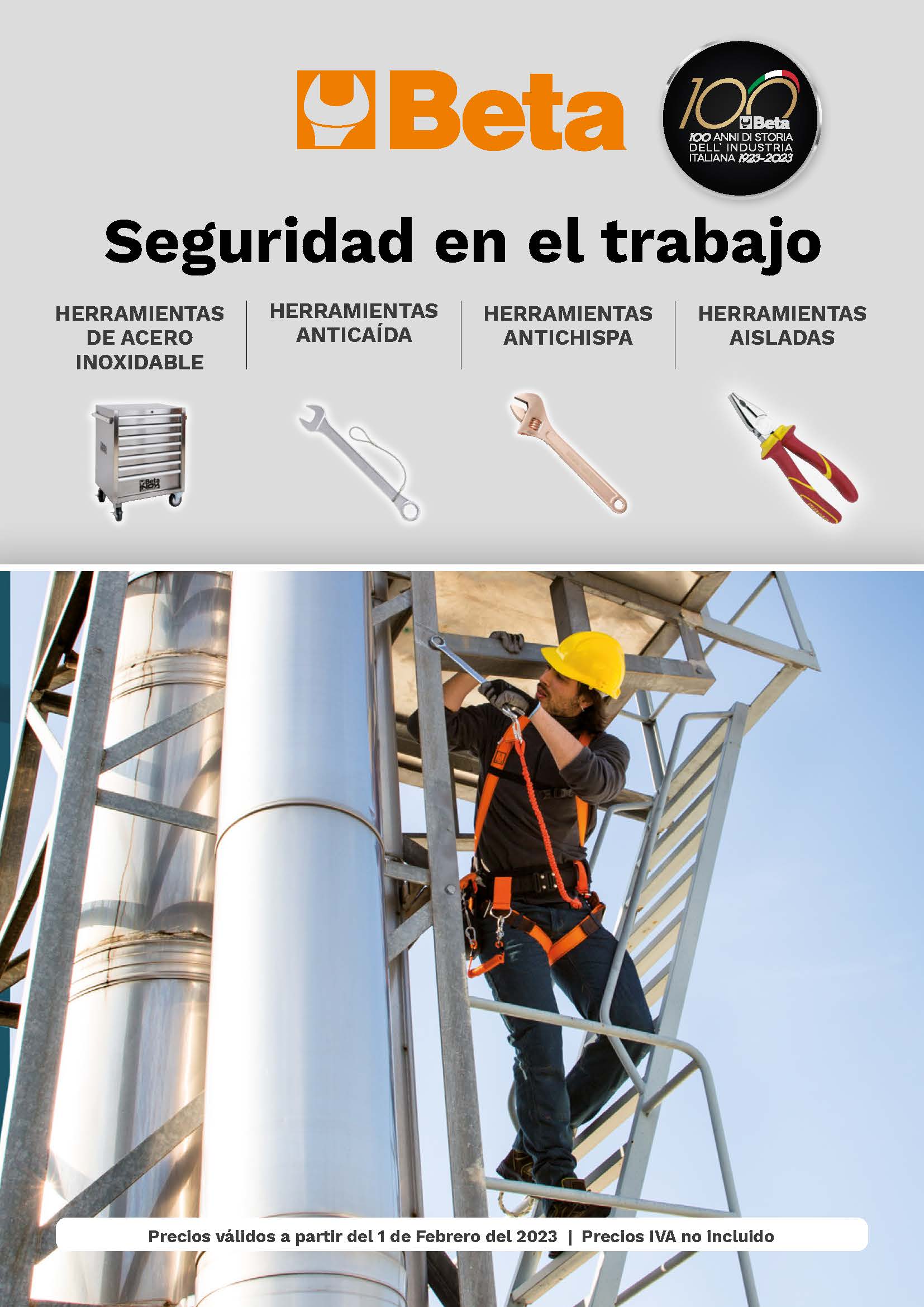 Seguridad Trabajo Beta