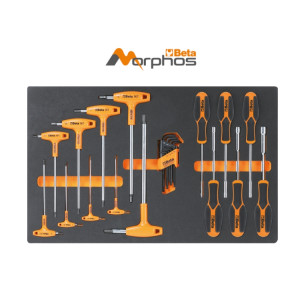 Termoformado de espuma con destornilladores con vaso Torx®, llaves Allen acodadas y llaves Allen acodadas con mango