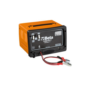 Chargeur de batterie professionnel 12/24V