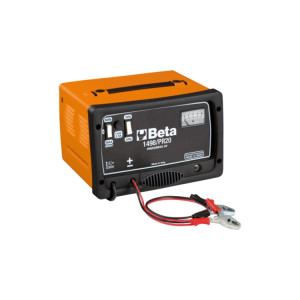 Chargeur de batterie professionnel 12/24V